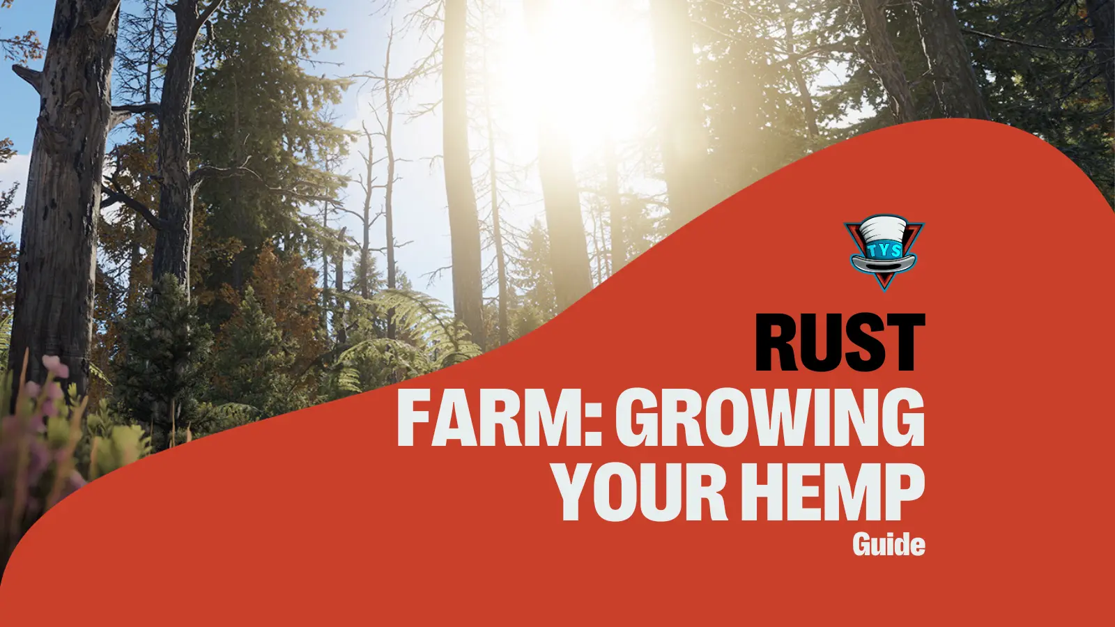 Rust Farming: Growing Your Hemp
